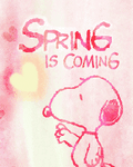 pic for Spring Is Comming